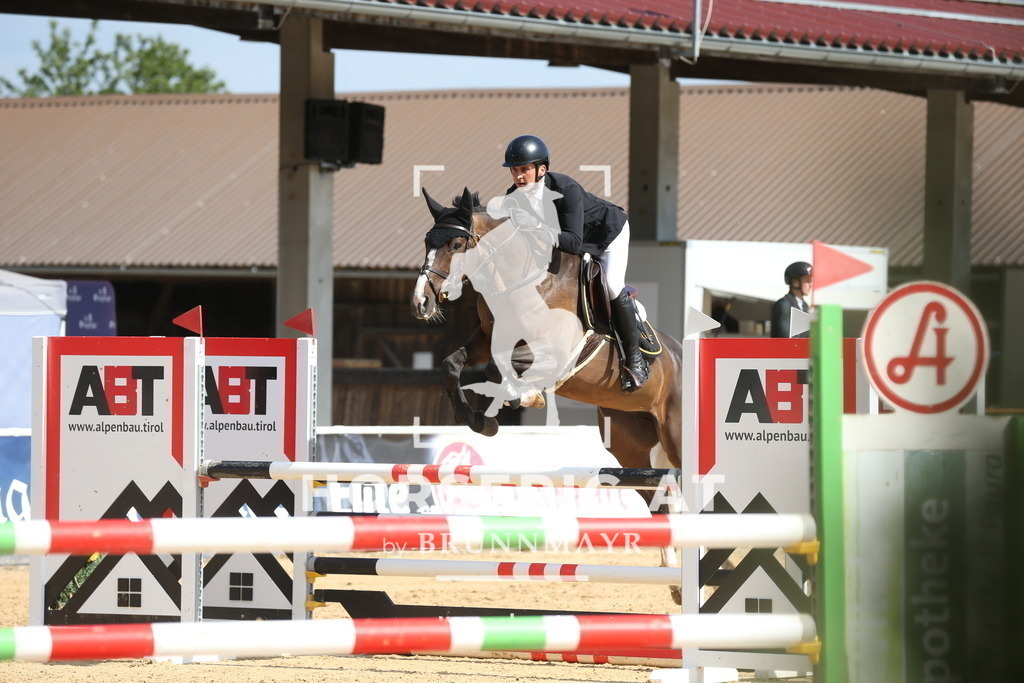 DL2Q0901 | Willkommen bei Brunnmayr - Design & Fotografie – Ihrem Spezialisten für Reitturniere und Pferdeveranstaltungen in Oberösterreich, Salzburg und Bayern! Seit über 17 Jahren sind wir leidenschaftlich dabei.