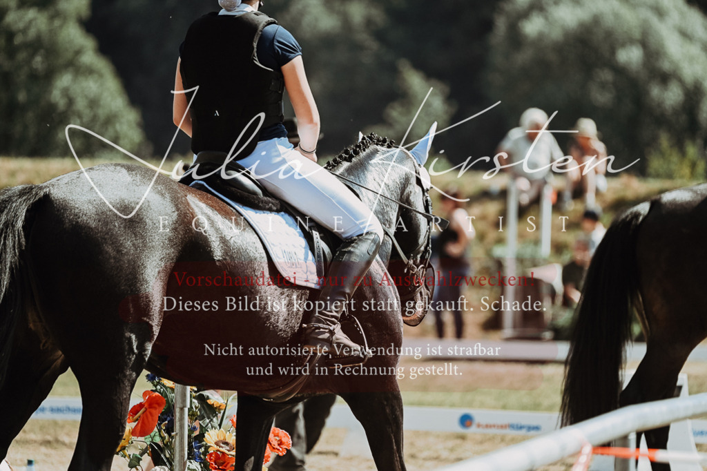 DSC_9849 | Pferde- und Turnierfotografie in Westsachsen. Pferdeportraits, Auftragszeichnungen und intuitive Kunst.