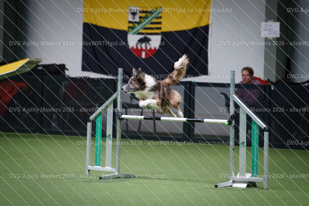 allesWIRTHgut_Tierfotografie-DVG_Agility_Masters_2026-16_17-7R507406 | Professionelle Tierfotografie in Mönchengladbach von Daniel Wirth (allesWIRTHgut). Liebevolle & natürliche Bilder von Hunden & Katzen für unvergessliche Erinnerungen.
