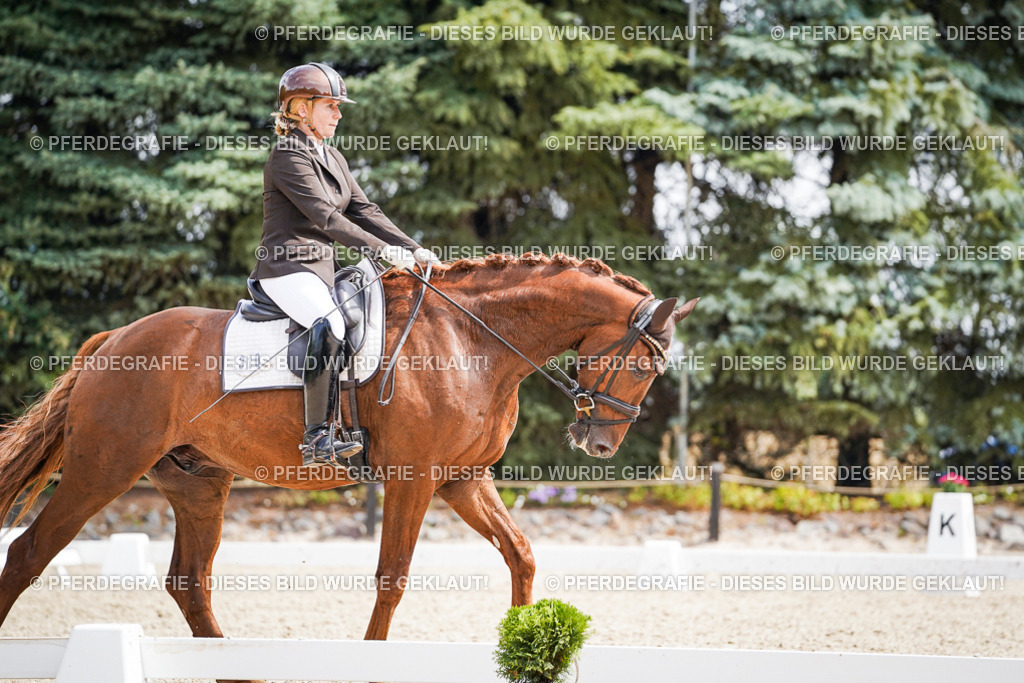 DSC09878 | Pferdegrafie