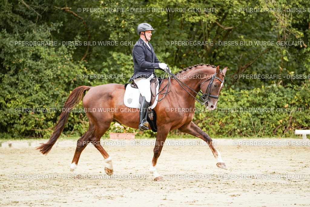 DSC03691 | Pferdegrafie