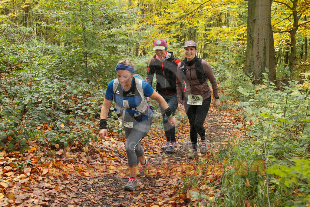 251026_1323_EV4_6868 | Sportfotografie im Rhein-Sieg Kreis, Köln, Bonn, NRW, Rheinland Pfalz, Hessen, etc. Unser Tätigkeitsfeld umfasst den Laufsport vom Volkslauf über den Marathon, Duathlon, Triathon bis zum Ultralauf wie Kölnpfad Ultra oder Schindertrail.