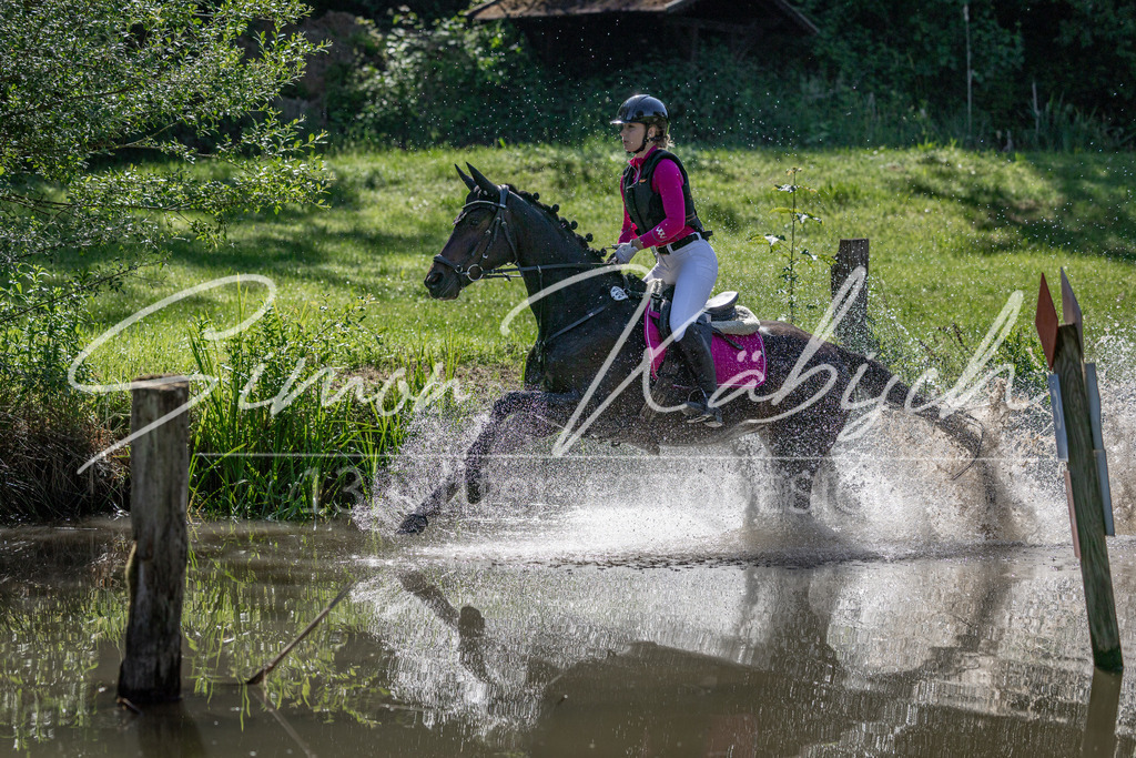 20260523-_3LI6711 | Tierfotografie Pferde, Hunde, Katzen, Haustiere.
Turnierfotografie Reitturniere, Reiten, Springreiten, Dressur in Hanau, dem Main-Kinzig-Kreis und dem Rhein-Main- Gebiet um Frankfurt