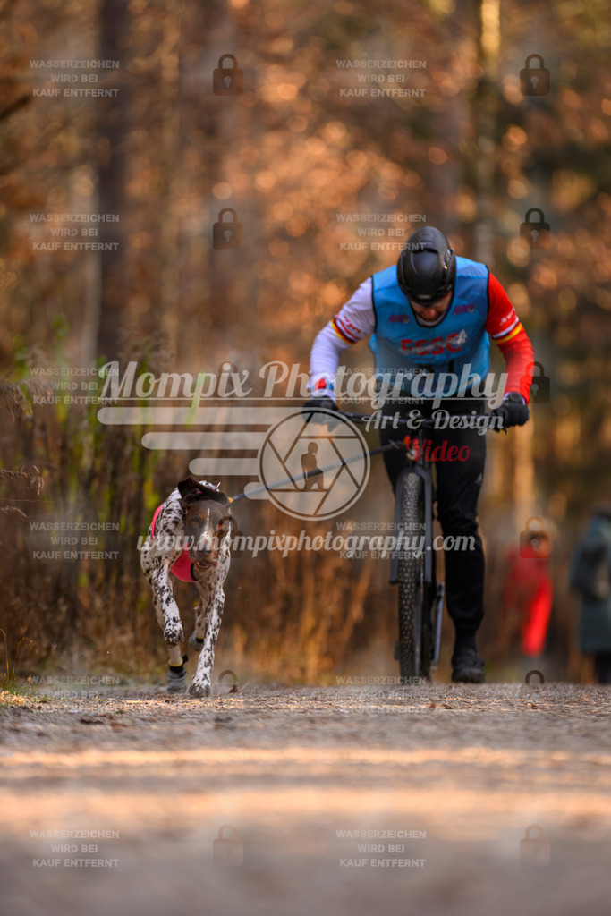 MompixPhotography_DM_AKDM_SO_2025_Scooter-134 | PayLife
