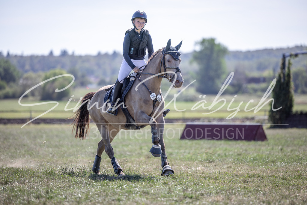 20260906-_3LI4390 | Tierfotografie Pferde, Hunde, Katzen, Haustiere.
Turnierfotografie Reitturniere, Reiten, Springreiten, Dressur in Hanau, dem Main-Kinzig-Kreis und dem Rhein-Main- Gebiet um Frankfurt
