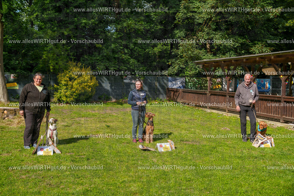 @allesWIRTHgut_Tierfotografie - www.allesWIRTHgut.de - 7R502220 | Professionelle Tierfotografie in Mönchengladbach von Daniel Wirth (allesWIRTHgut). Liebevolle & natürliche Bilder von Hunden & Katzen für unvergessliche Erinnerungen.