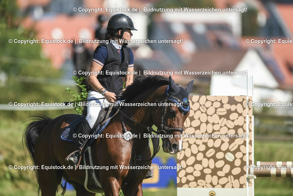 20230909_18_Springen_L_KSK-Böblingen_0022 | Foto: Thomas Hartig