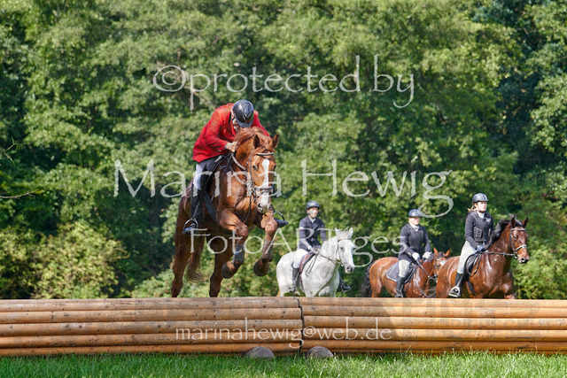 08-23 Bredeneek Jagd_MCH9490_Marina Hewig | Fotografie, FotoArt, PferdesportArt, Pferdesportfotografie, Landschaftsfotografie, Reisefotografie, Reise, Pferde - Realisiert mit Pictrs.com