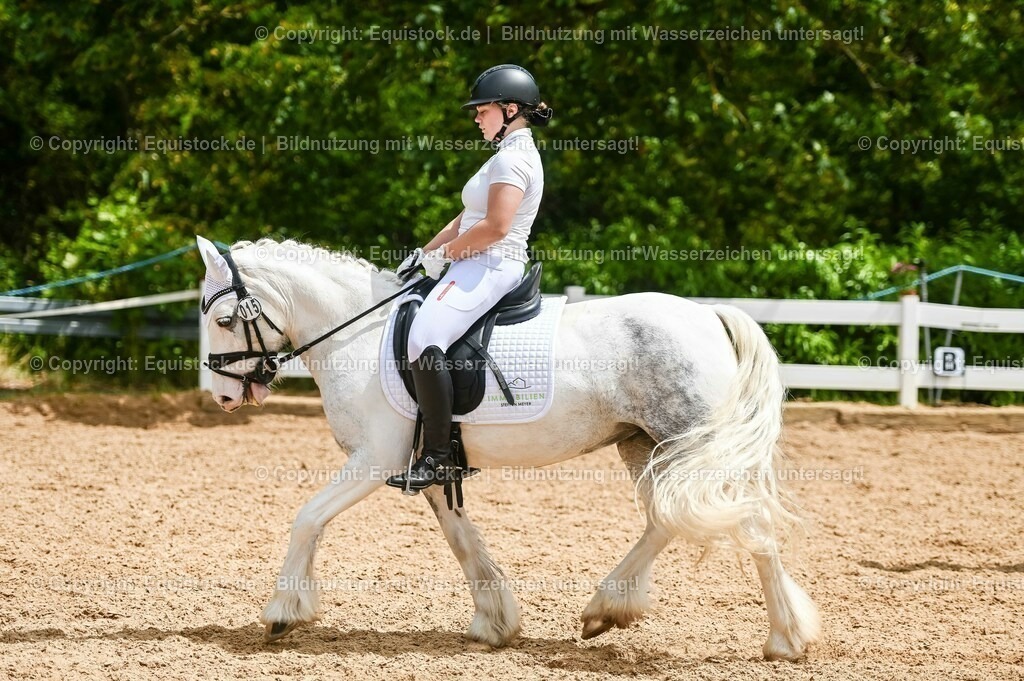 20230715_05_Dressurprüfung Kl.A++_0246 | equistock
