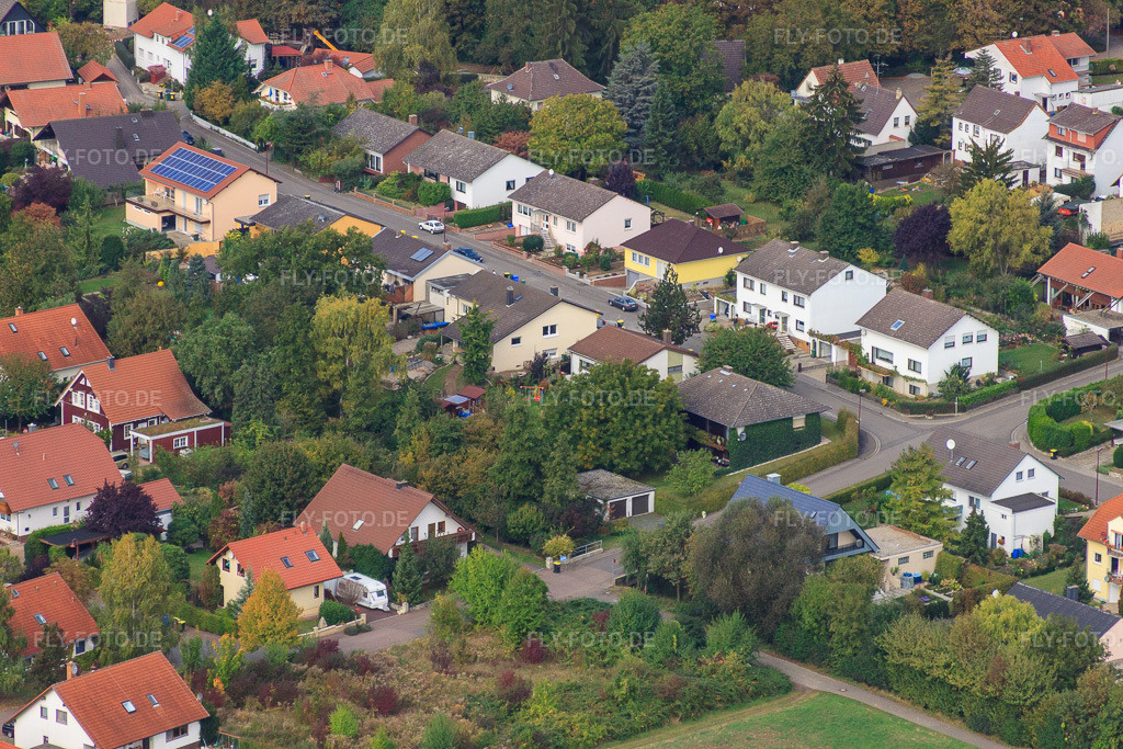Luftbild: Im Mühlegarten in Eppelsheim im Bundesland Rheinland-Pfalz in Deutschland. Foto: IMG_21616.jpg vom 09.10.2009 durch Werner Riehm/FLY-FOTO.de