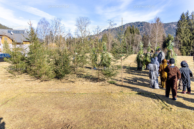 Bärentreiben in Steuerberg | Bildershop von pixelworld.at - Realisiert mit Pictrs.com
