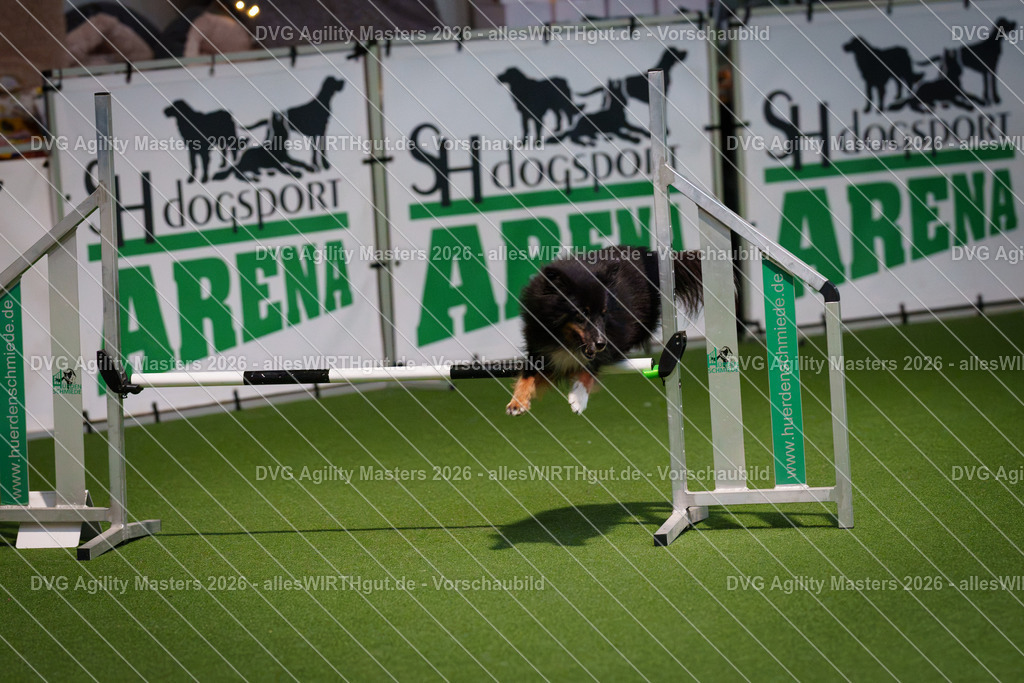 allesWIRTHgut_Tierfotografie-DVG_Agility_Masters_2026-16_28-7R503609 | Professionelle Tierfotografie in Mönchengladbach von Daniel Wirth (allesWIRTHgut). Liebevolle & natürliche Bilder von Hunden & Katzen für unvergessliche Erinnerungen.