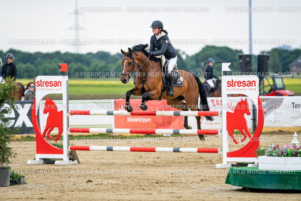 DSC05746 | Pferdegrafie