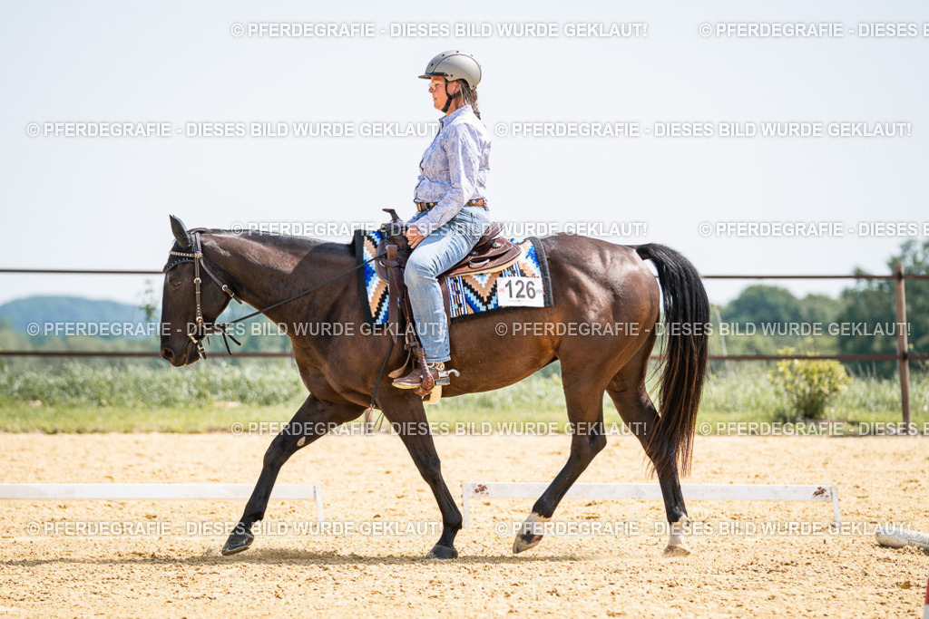 DSC00629 | Pferdegrafie