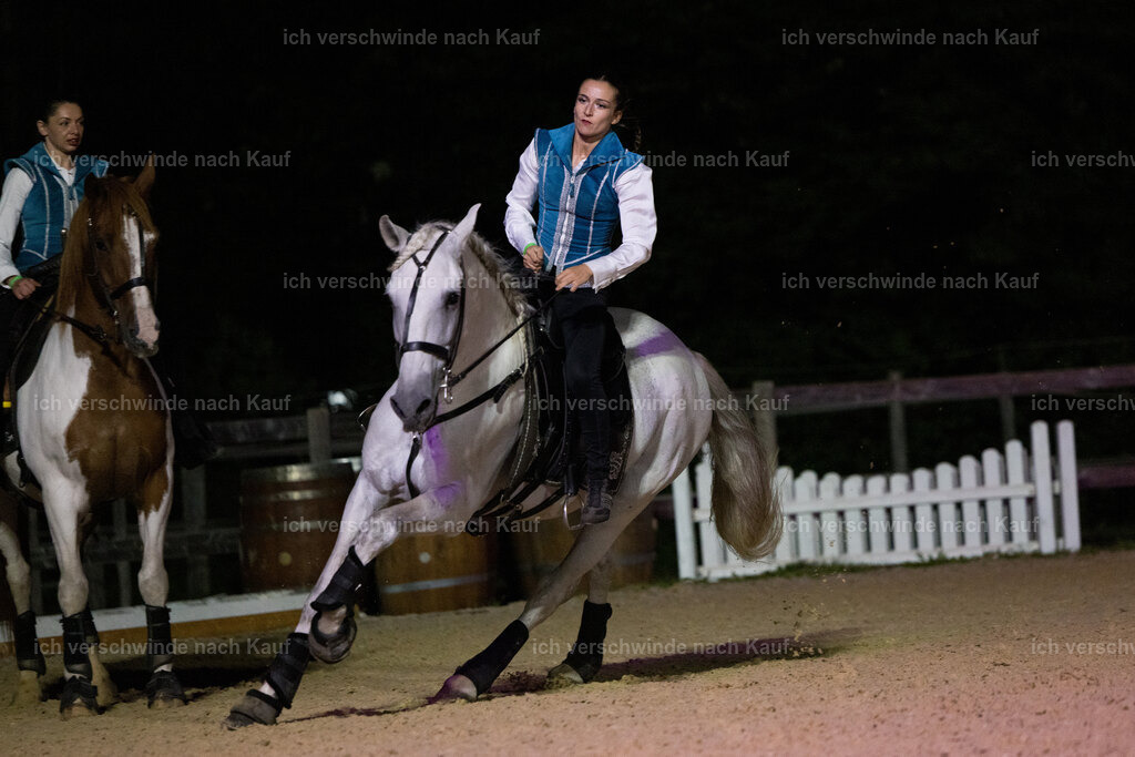 Gala-581 | working equitationturnier fotograf videograf stoibphotography marixx film working equitation deutschland reitsport turnierfotografie eventfotografie equestrian events