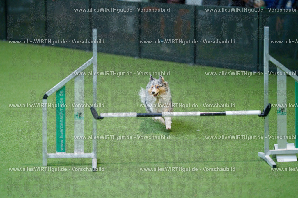 @allesWIRTHgut_Tierfotografie - www.allesWIRTHgut.de - 2604251000-7R509425 | Professionelle Tierfotografie in Mönchengladbach von Daniel Wirth (allesWIRTHgut). Liebevolle & natürliche Bilder von Hunden & Katzen für unvergessliche Erinnerungen.