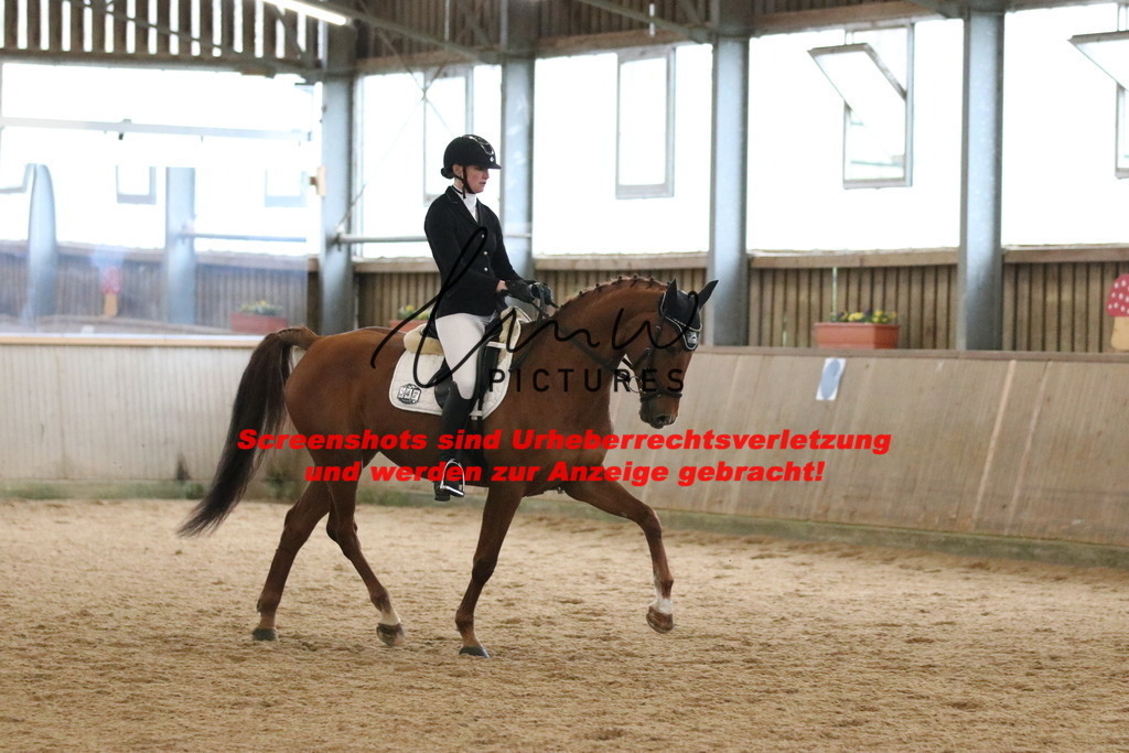 IMG_6586 | lmwpictures - Realisiert mit Pictrs.com