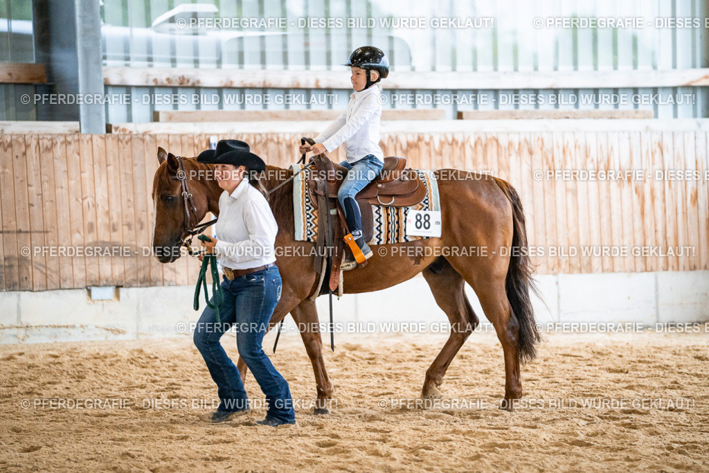 DSC00753 | Pferdegrafie