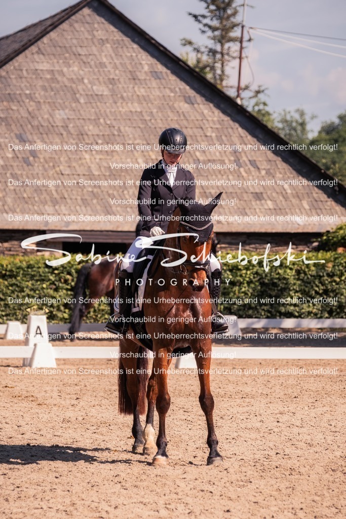 2025_05_31_DSCF3077 | People- und Tierfotografie, Imageaufnahmen, Veranstaltungsfotografie und Wandbilder aus der Natur ★ Made in Germany ✔️ Druck + Downloads ✔️ Naturfotografie in Top Qualität ★ schneller Versand, weltweite Lieferung! - Realisiert mit Pictrs.com