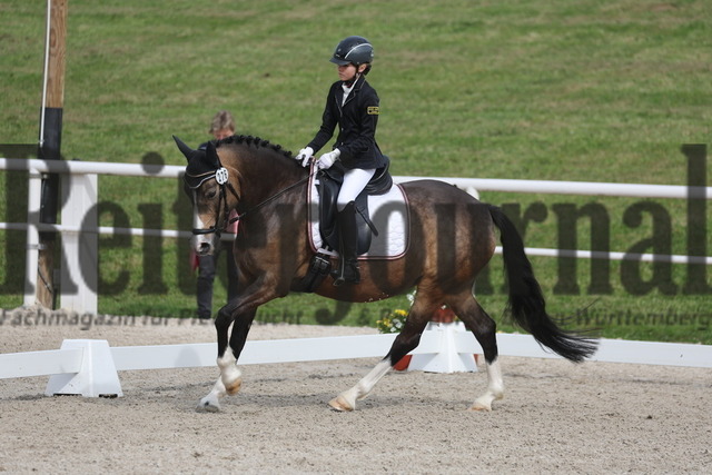 Birkhof_2024_Prfg.Nr.01_Dressur-WB_Lilli Melia Haug_MonAmi Tiger Lily (9) | Alle Fotos der Reiterjournal Fotografin Doris Matthaes im Reiterjournal Online-Fotoshop. - Realisiert mit Pictrs.com
