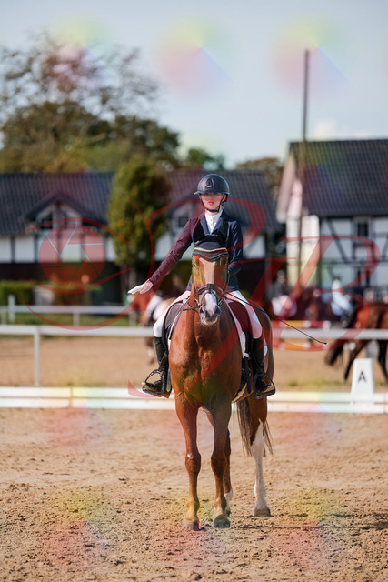 2026_10_03_Siefer-Hof_123803_Z63_55477747 | Professionelle Reitsport-, Turnier- und Eventfotografie von Robert Broda. Galerien mit ausgewählten und bearbeiteten Bildern direkt online ansehen und bestellen.