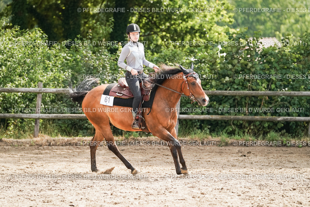 DSC04972 | Pferdegrafie