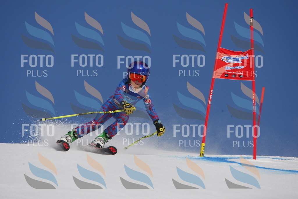 _W1G0291 | holidayphoto