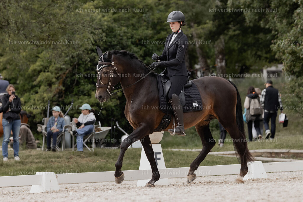 WE_DR_Stoib_309_PI2025_790 | Pferd International München 2025