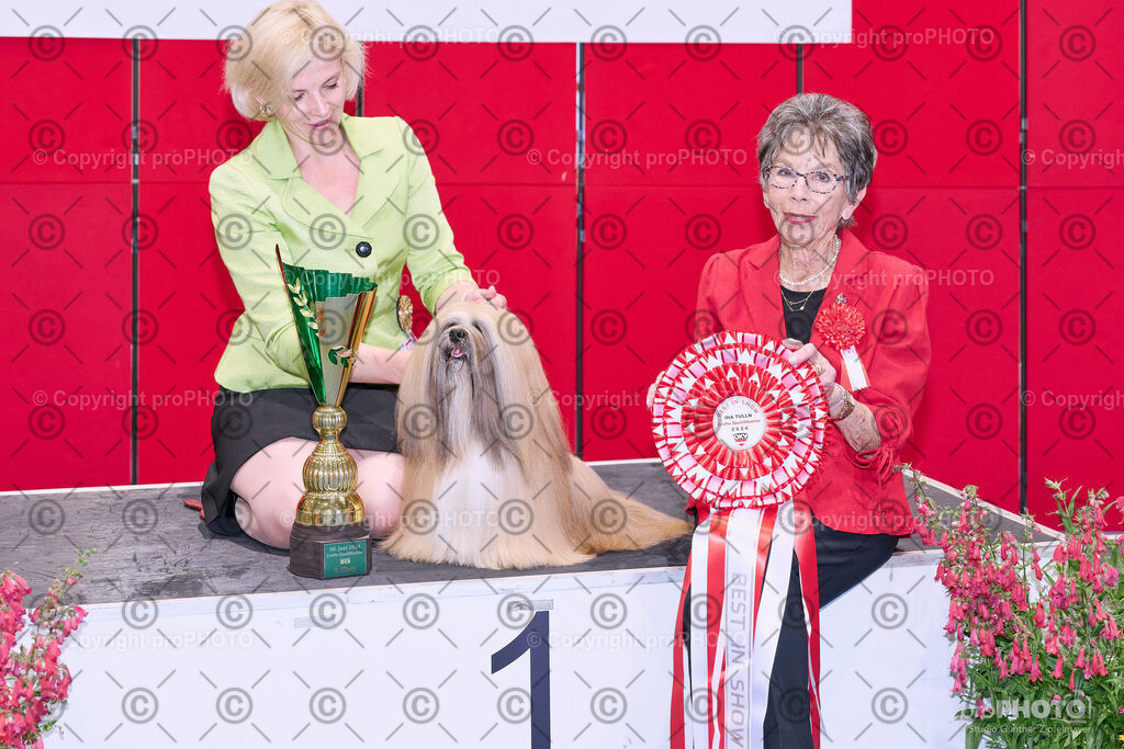 202406_ÖKV-IHA-Tulln24_NZ9_8859 | proPHOTO - Realisiert mit Pictrs.com