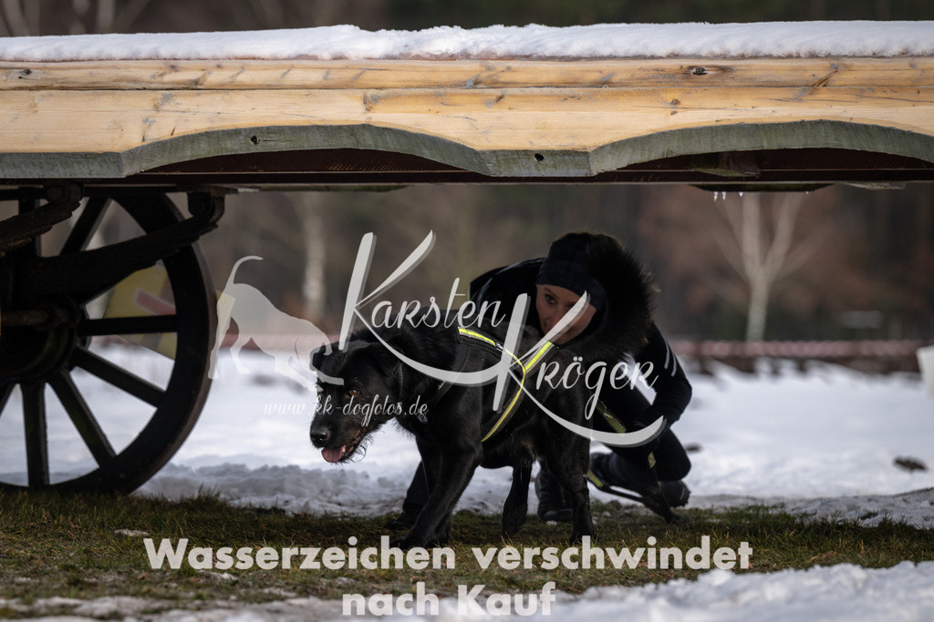 0822_ZZ91555-5 | kk-dogfotos