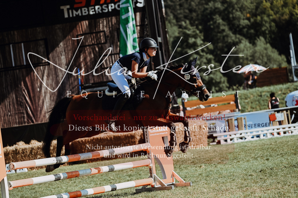 DSC_6963 | Pferde- und Turnierfotografie in Westsachsen. Pferdeportraits, Auftragszeichnungen und intuitive Kunst.