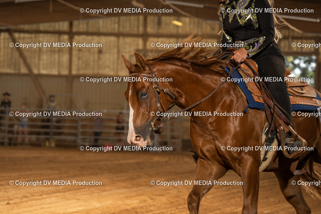 NID03820 | dv-media-shop - Realisiert mit Pictrs.com