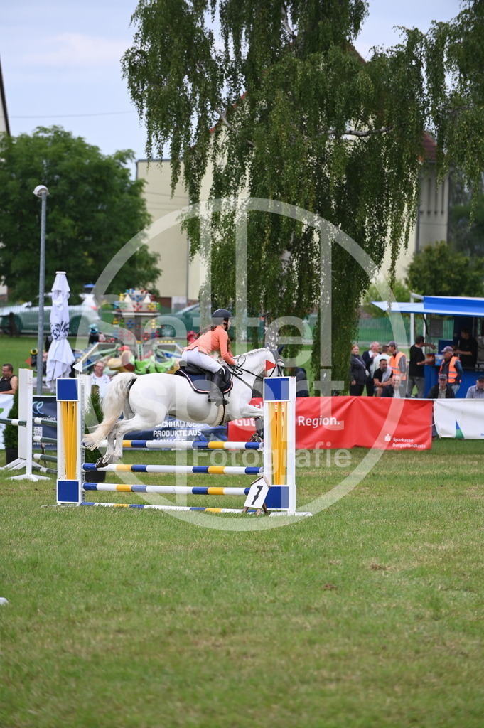 DSC_0567 | sattelsport - Realisiert mit Pictrs.com