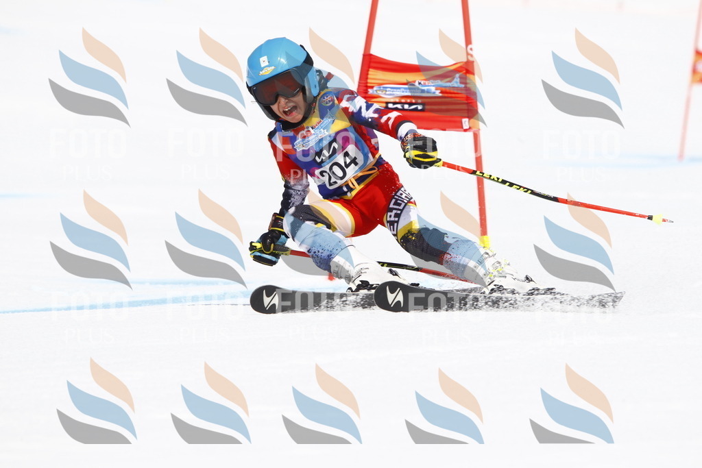 _U3G5304 | holidayphoto