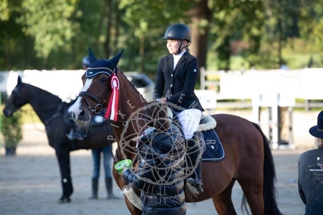 2B4A4038 | pixelfaenger - Realisiert mit Pictrs.com