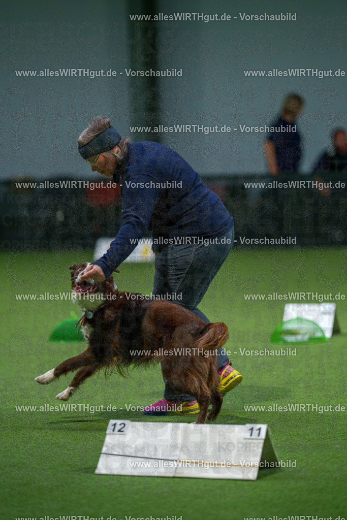 7R500086 | Professionelle Tierfotografie in Mönchengladbach von Daniel Wirth (allesWIRTHgut). Liebevolle & natürliche Bilder von Hunden & Katzen für unvergessliche Erinnerungen.