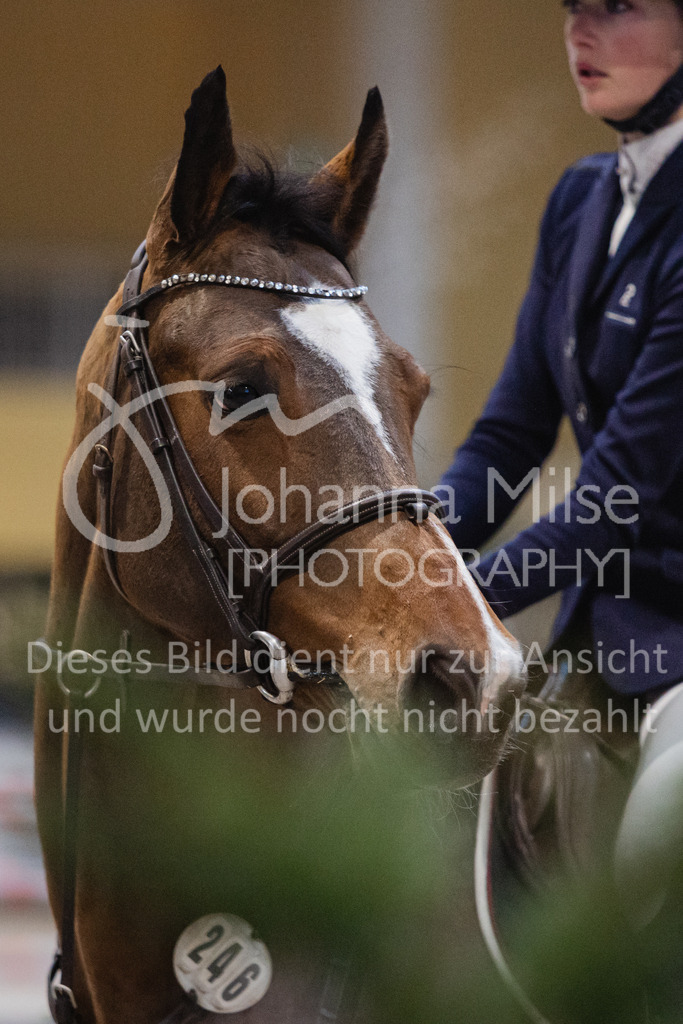 221217_Warstein_Stil-M-203 | Deine schönsten Turniermomente als professionelle Fotos! Entdecke hochwertige Pferdesport-Fotografie im Online-Shop. Jetzt Fotos finden & bestellen!