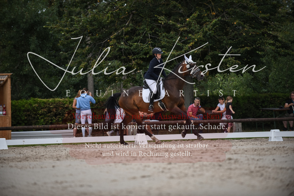 DSC_8448 | Pferde- und Turnierfotografie in Westsachsen. Pferdeportraits, Auftragszeichnungen und intuitive Kunst.