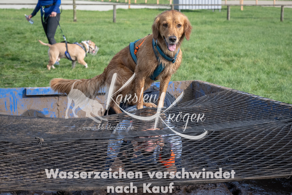 1609_ZZ91778 | kk-dogfotos