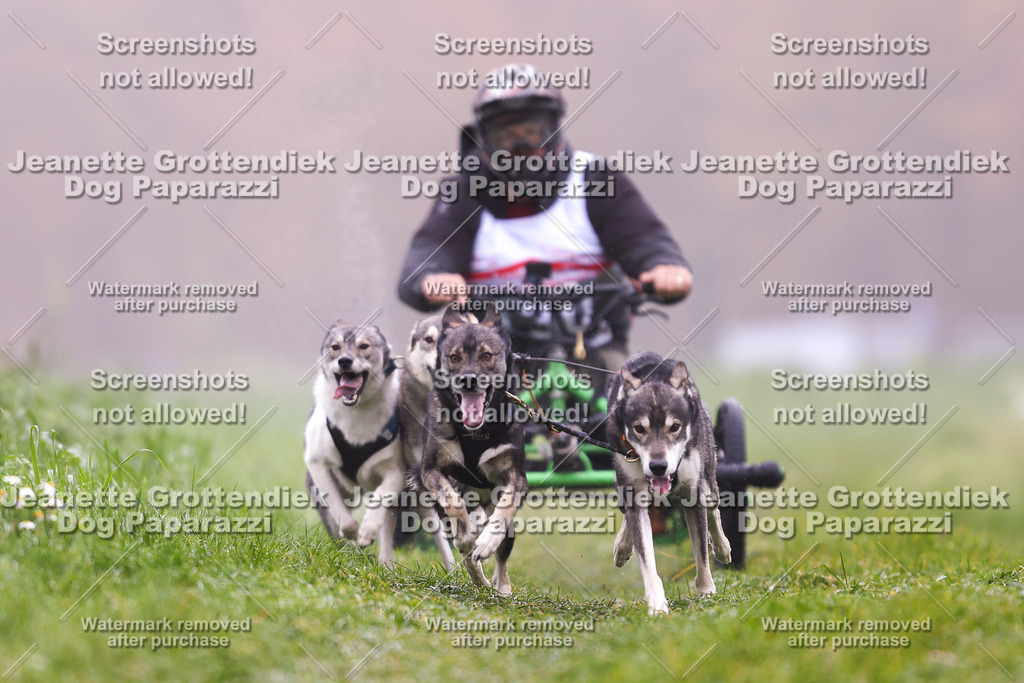 Dog Paparazzi - Visbeck 25 -24 | Dog Paparazzi Jeanette Grottendiek Fotografie & Videografie - Realisiert mit Pictrs.com