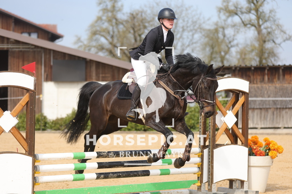 0P6A9503 | Willkommen bei Brunnmayr - Design & Fotografie – Ihrem Spezialisten für Reitturniere und Pferdeveranstaltungen in Oberösterreich, Salzburg und Bayern! Seit über 17 Jahren sind wir leidenschaftlich dabei.