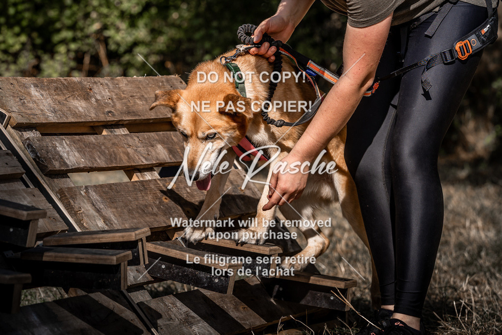 nelerasche_slaw24So_246 | nelerasche