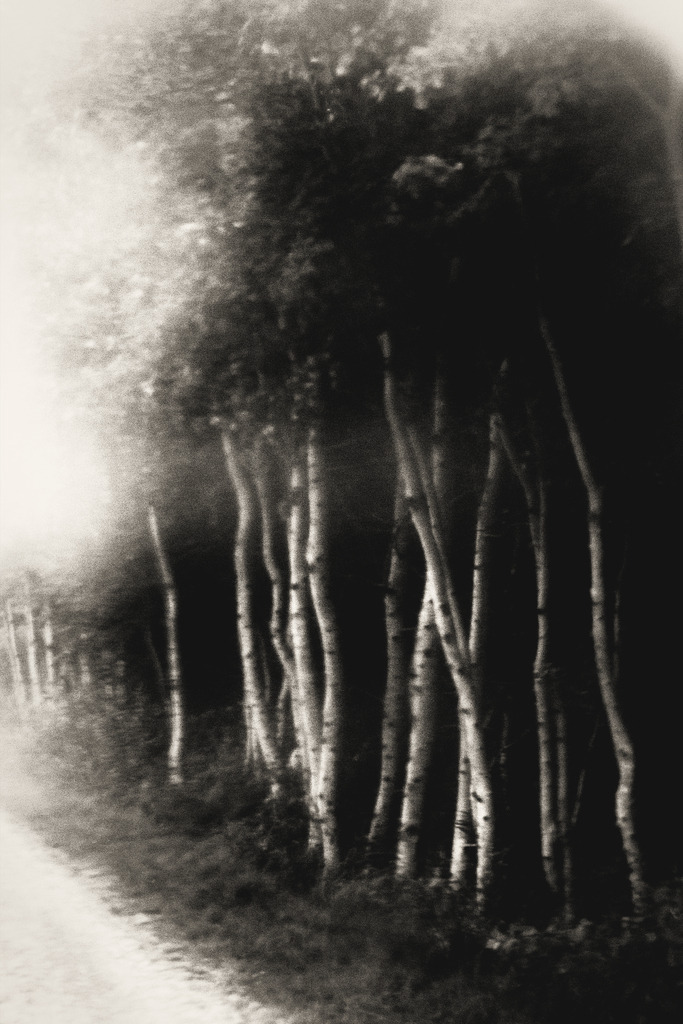 island_03_dorit_fuhg | Stimmungsvolle Fotografien von Dorit Fuhg. Kaufen Sie bequem hochwertige Fine-Art Drucke, Wandbilder und Kalender hier im Online-Shop. - Realisiert mit Pictrs.com