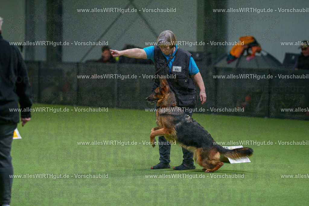 7R507962 | Professionelle Tierfotografie in Mönchengladbach von Daniel Wirth (allesWIRTHgut). Liebevolle & natürliche Bilder von Hunden & Katzen für unvergessliche Erinnerungen.