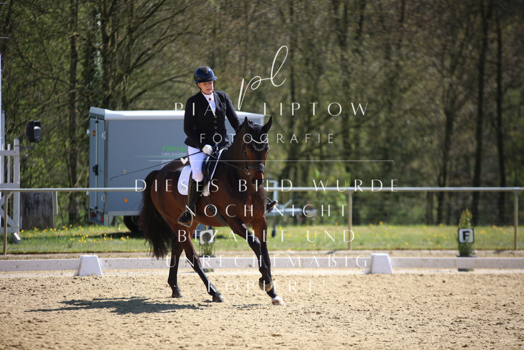 IMGT7560 | pl-fotografie