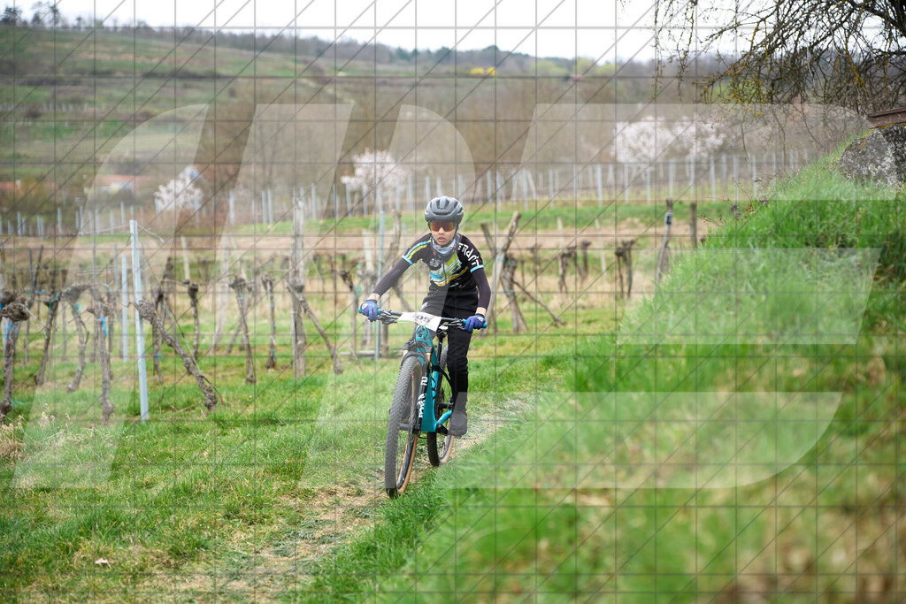 34. KTM Kamptal Trophy  | ZÖBING, Österreich – 2026-03-28: 34. KTM Kamptal TrophyFoto: © 2026 Martin Bihounek - MB Creative e.U.