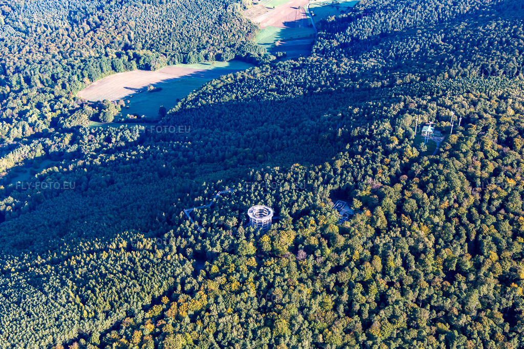 Vue aérienne: Passerelle dans les arbres d'Alsace à Cleebourg dans le département Bas Rhin, France – .Photo: IMG_138944.jpg prise le 24/09/2023 par Werner Riehm/FLY-FOTO.eu – Résolution de l'original: 5114 x 3409 px – den Baumwipfelpfaden der Erlebnis Akademie AG!