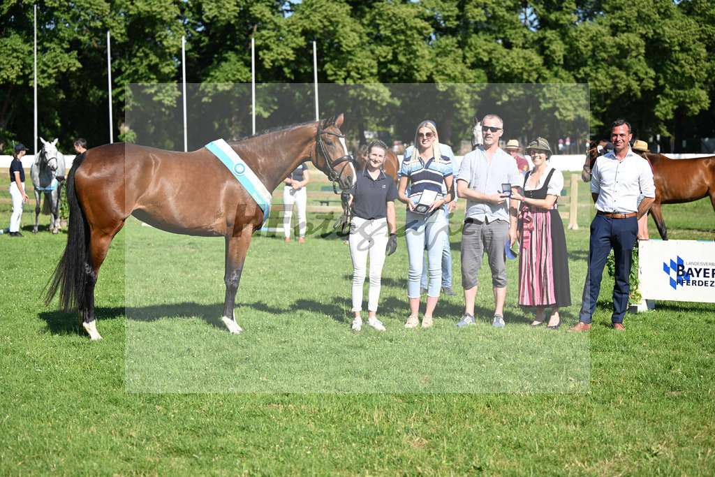 Kat-Nr. 56 Princess v. C-Kathou S_Jungwirth_19251334 | hf-fotografie - Realizzato con Pictrs.com