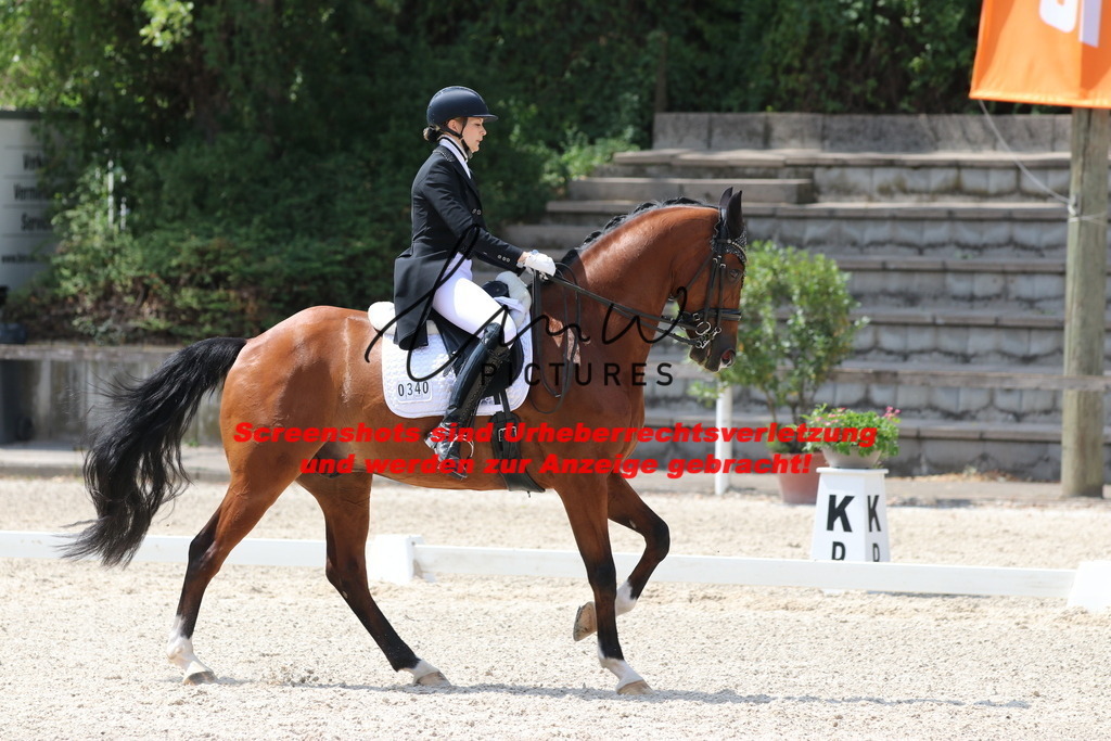 IMG_7541 | lmwpictures - Realisiert mit Pictrs.com