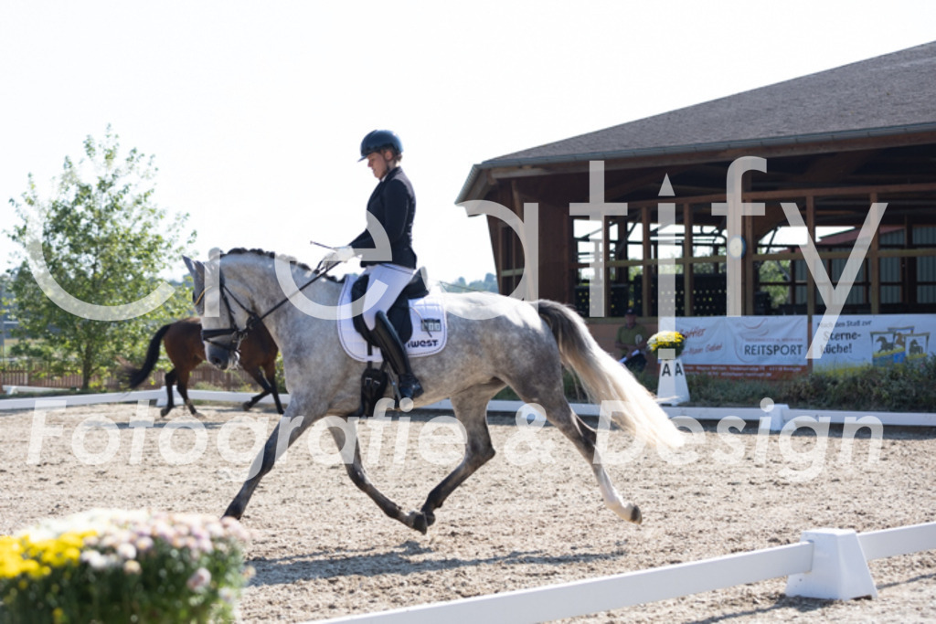 IMG_3807 | Creatify Fotografie